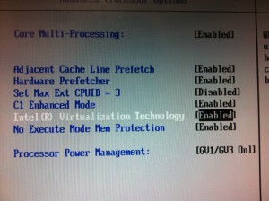 Intel-VT対応してる